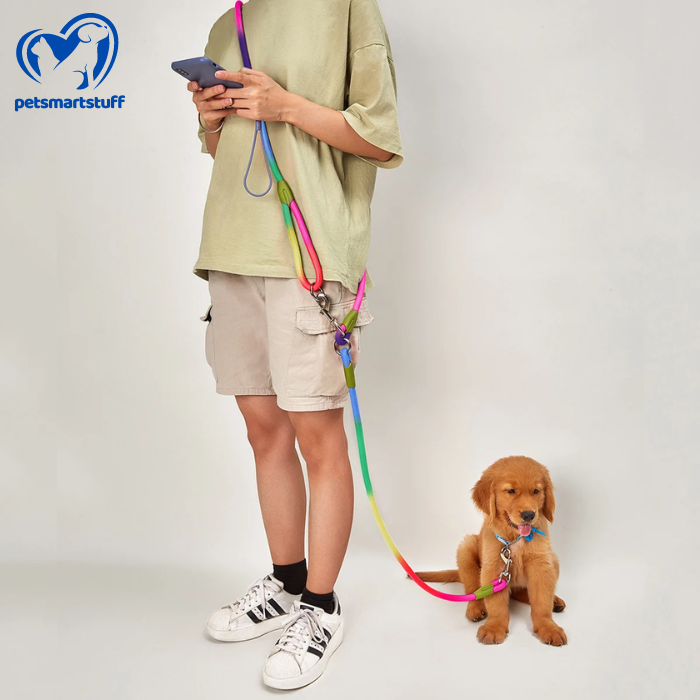 HandsFree Leash