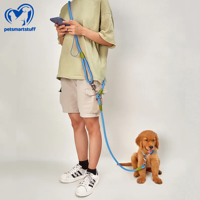 HandsFree Leash