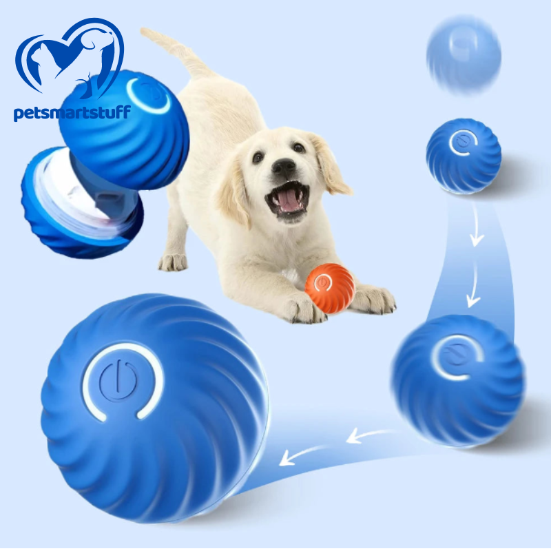 PetSmart Ball