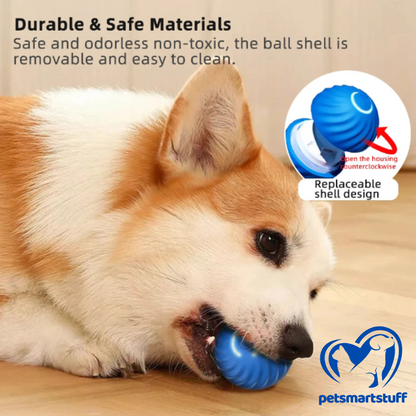 PetSmart Ball