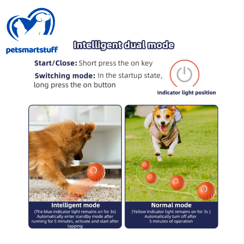 PetSmart Ball