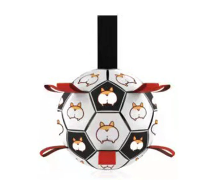 Interactive Soccer Brain Game for Dogs