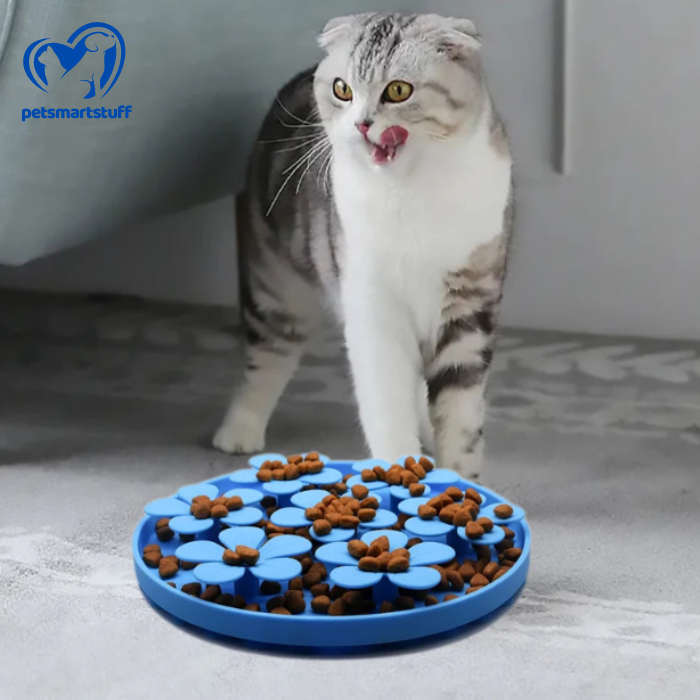 SlowPet Dish