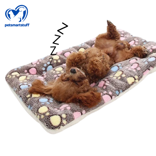 VelvetPaws Plush Rug