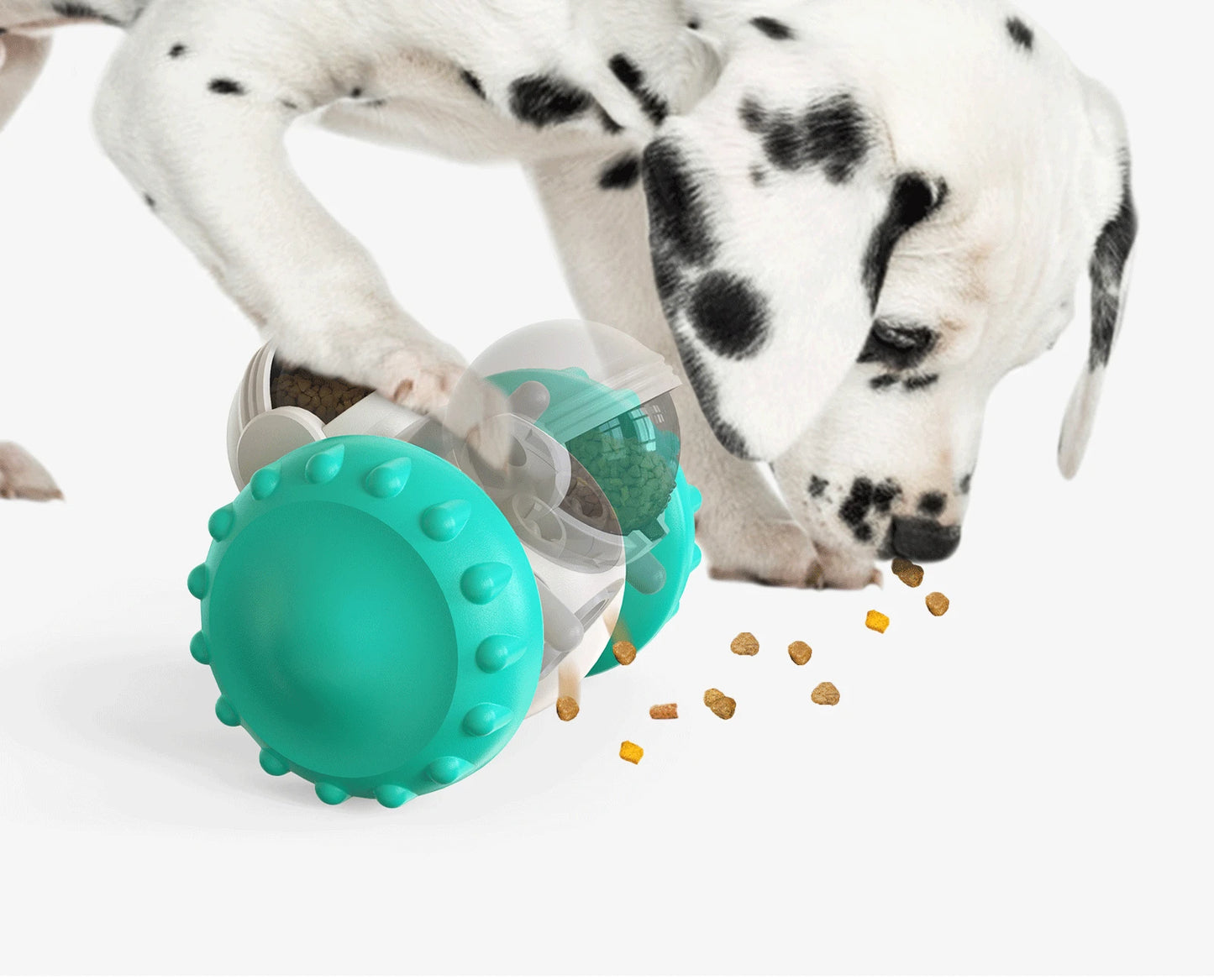 BrainPaw Interactive Toy