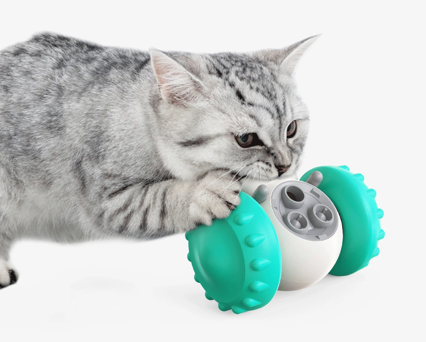 BrainPaw Interactive Toy