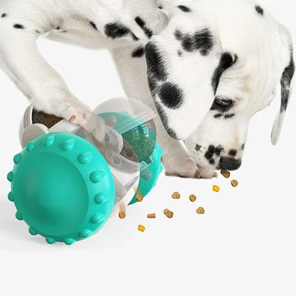 BrainPaw Interactive Toy