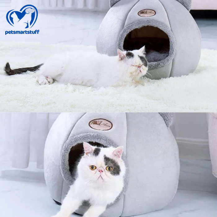 Cat Head Shaped Bed