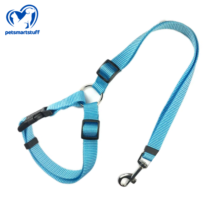 PetSmart Harness-Belt