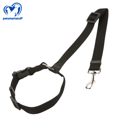 PetSmart Harness-Belt