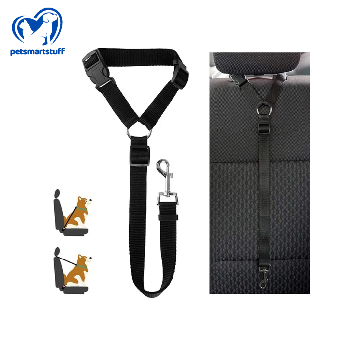 PetSmart Harness-Belt