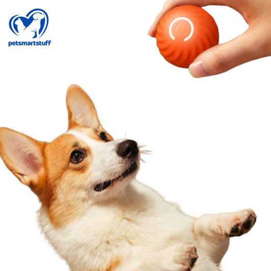 PetSmart Ball