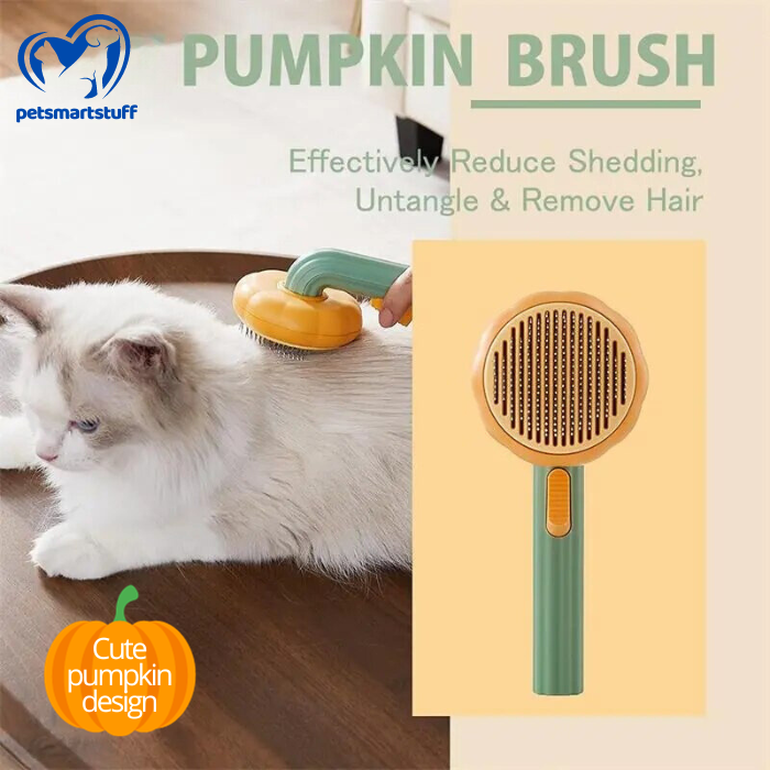 Slicker PetBrush