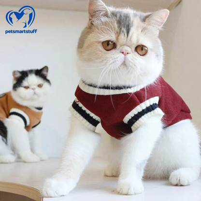 Pawsome Comfort Knit