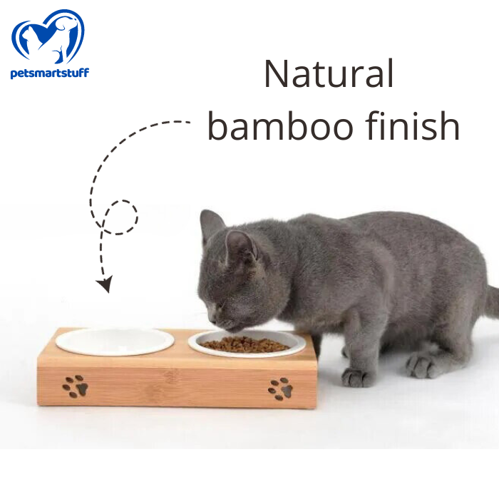 Bamboo Pet Feeder