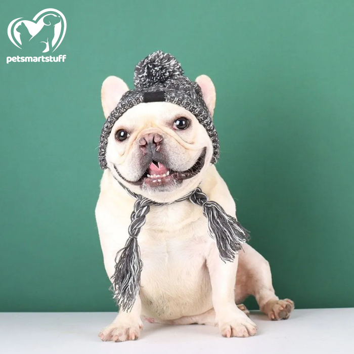 CozyCanine PomPom Hat