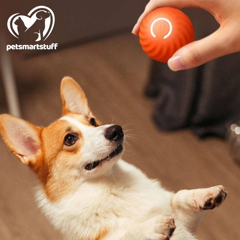 PetSmart Ball